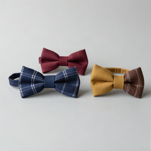 Bow Tie and Collar Cover Set